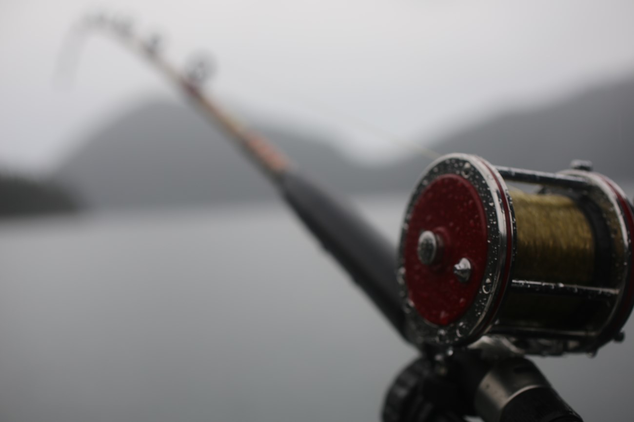 A fishing rod attached to boat rail