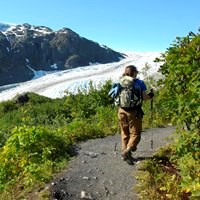 A hiker follows a trail with vegetation on each side and a glacier in the background.