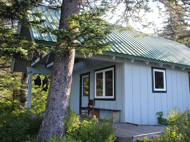 Cabin in forest