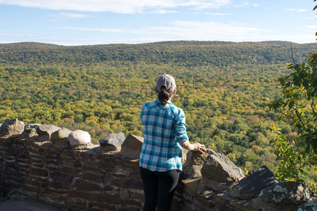 An overlook at Porcupine Mountains Wilderness State Park