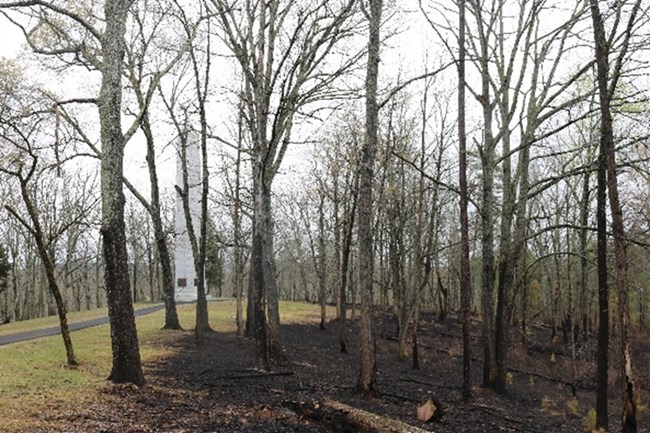 A monument and paved trail goes through a forest with blackened ground