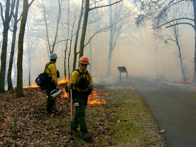 Two firefighters in yellow shirts stand near a fire by a trail with trees in the background.