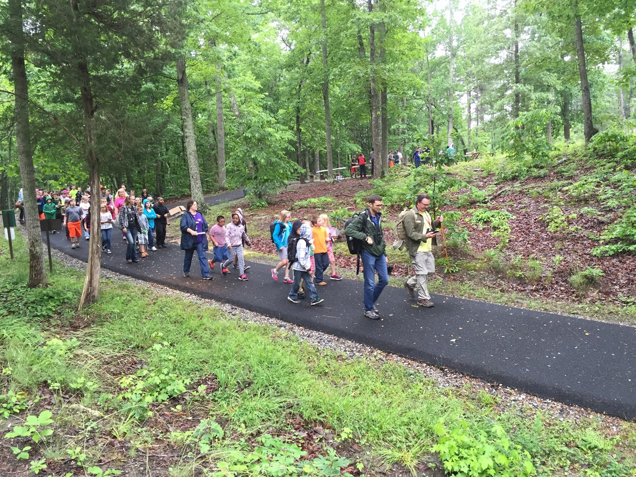 A large group of students are walking on a paved trail in the woods with teacahers leading the way.