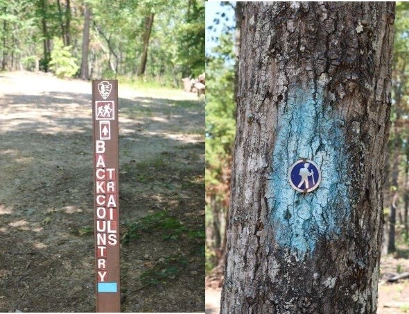A trail marker that says backcountry trail and a blue pained marker on a tree.