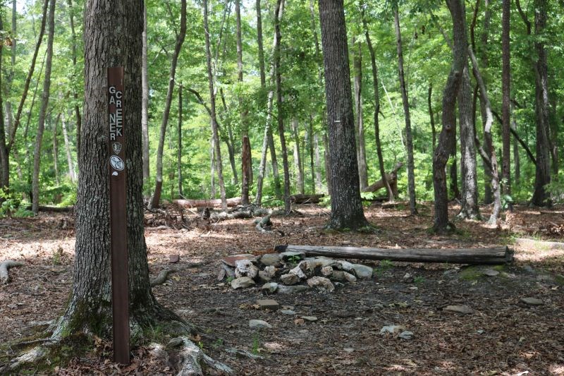A campsite is shown with a clearing in the forest surrounded by trees