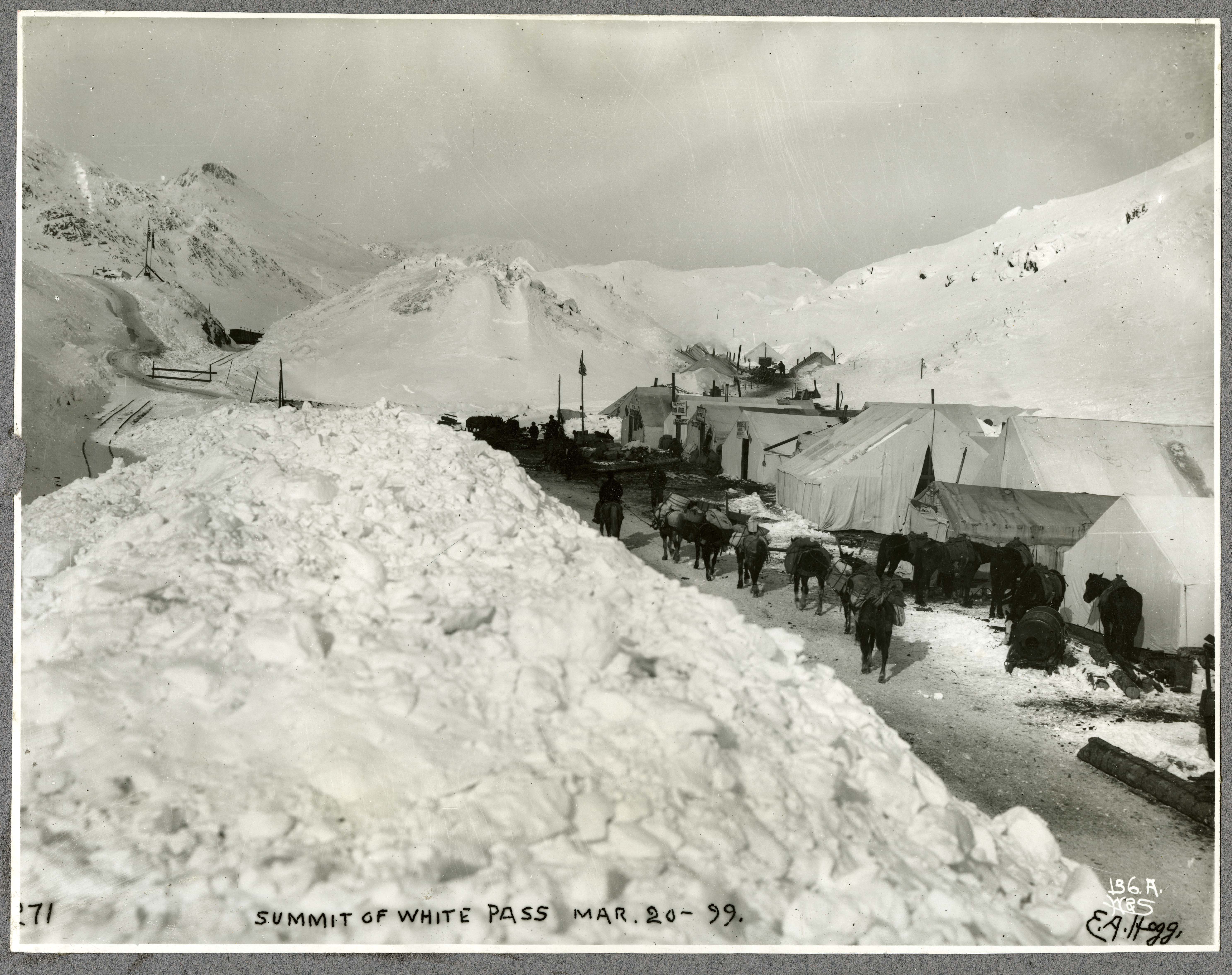 tents set up in the snow and horses walking single file at the top of a mountain pass