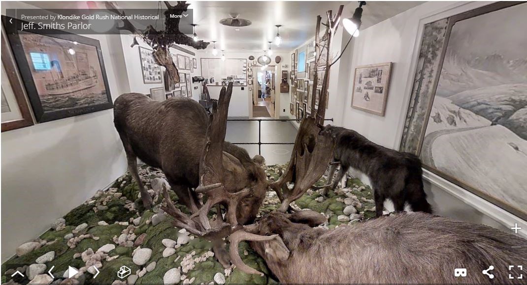 Two moose with interlocked antlers in a long, narrow building