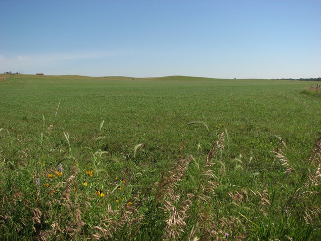 Rolling mowed hills on the Big Hidatsa Prairie.