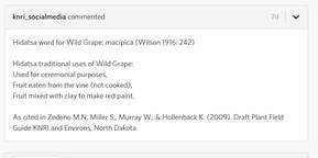 Screenshot of iNaturalist comment section. States Hidatsa word for Wild Grape, 3 traditional uses, and a reference.