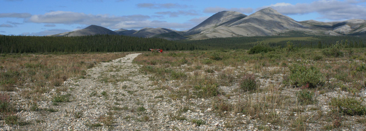 Backcountry Airstrip | NPS Photo, T. Federal