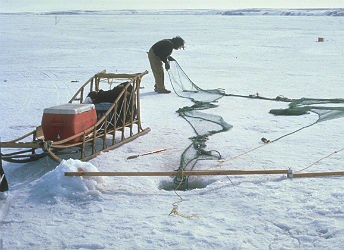 man setting fishing nets under the ice