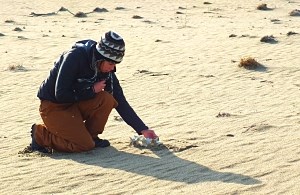 student kneels on sand to study bones
