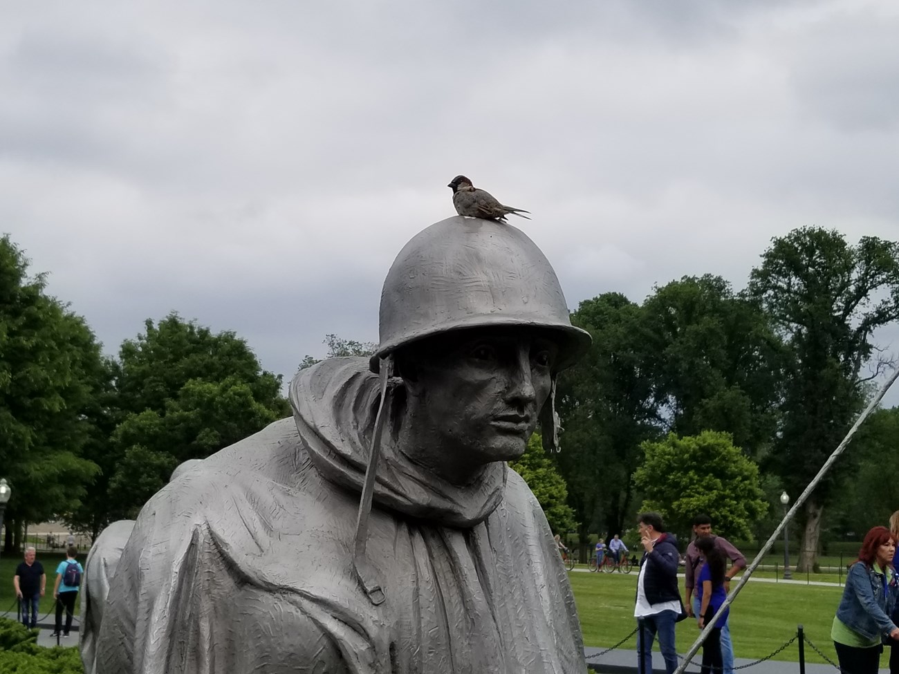 Bird on Korean War Statue