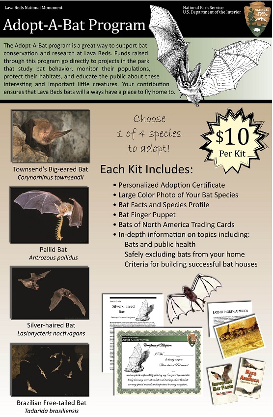 Adopt-A-Bat Poster