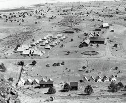 A historic photo of Camp Tulelake, with rows of tents and cabins.