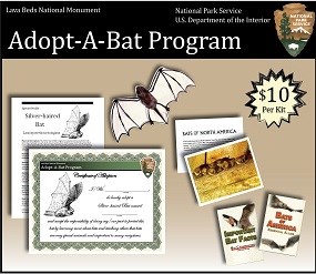 Small Adopt-A-Bat Summary Image Updated - resized for website