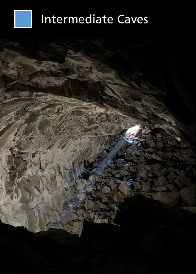 Titled "Intermediate Caves" at the top, with an image of a narrow ray of sunlight enters a large, rocky cavern.