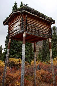 photo of a small log structure on tall wooden poles.