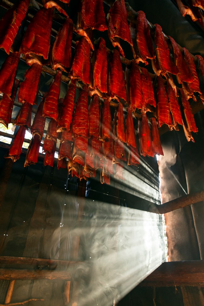 red salmon dry on an indoor fish rack inside a smokehouse with sunlight