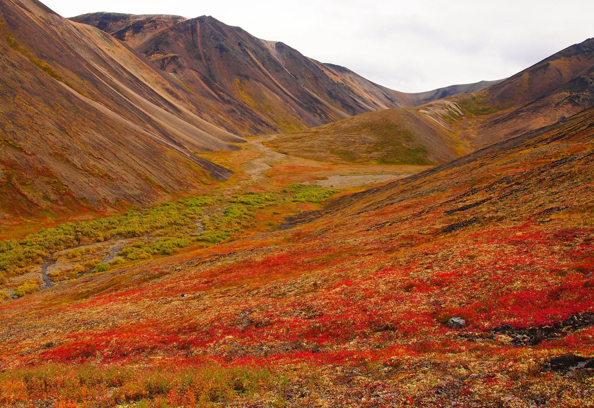 tundra-lake-clark-national-park-preserve-u-s-national-park-service