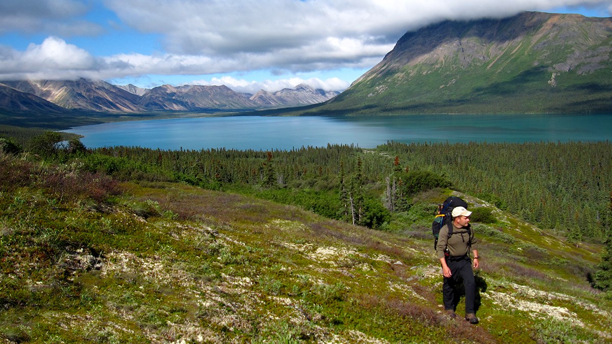 A man wearing a backpack walks in alpine tundra above a bright turquoise-hued lake that is bound by tall, colorful mountains.