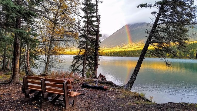 A wooden bench sits on forested lakeshore overlooking a mountain with a rainbow in front of it.