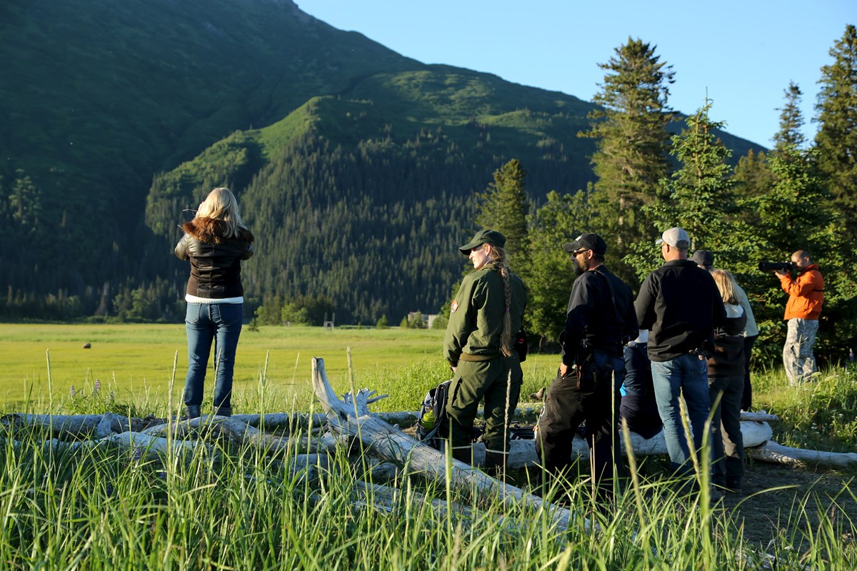 visitors stand next to a park ranger while viewing a bear at the Chinitna Bay sedge meadow