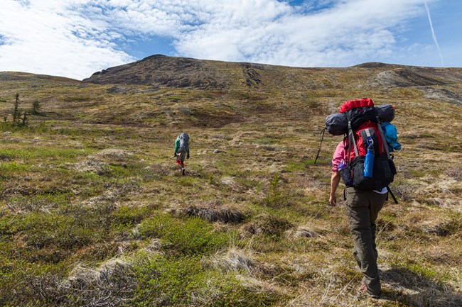 Hikers climbing up a hill covered in tundra