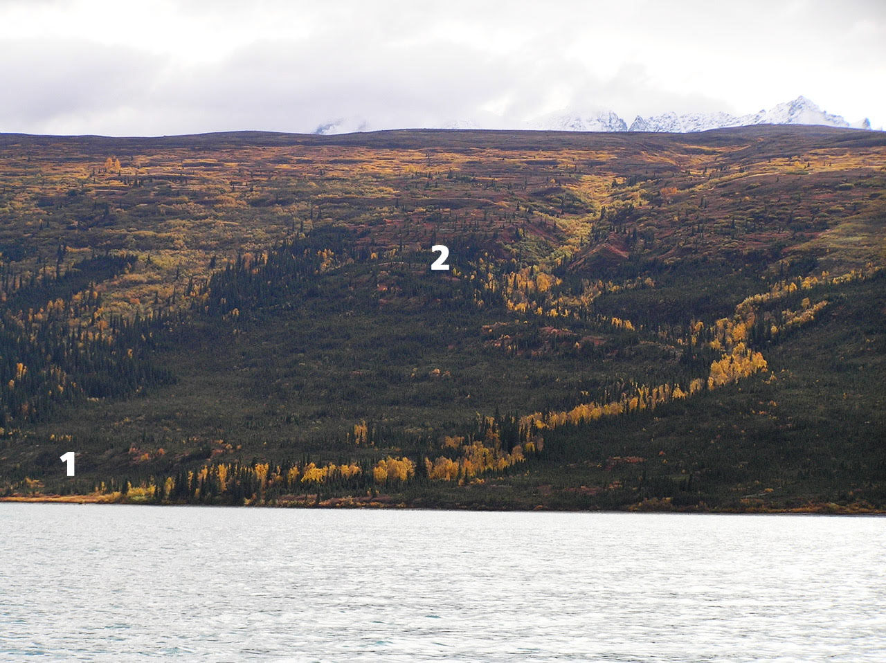 View across Telaquana Lake towards a place known as "Second Creek."