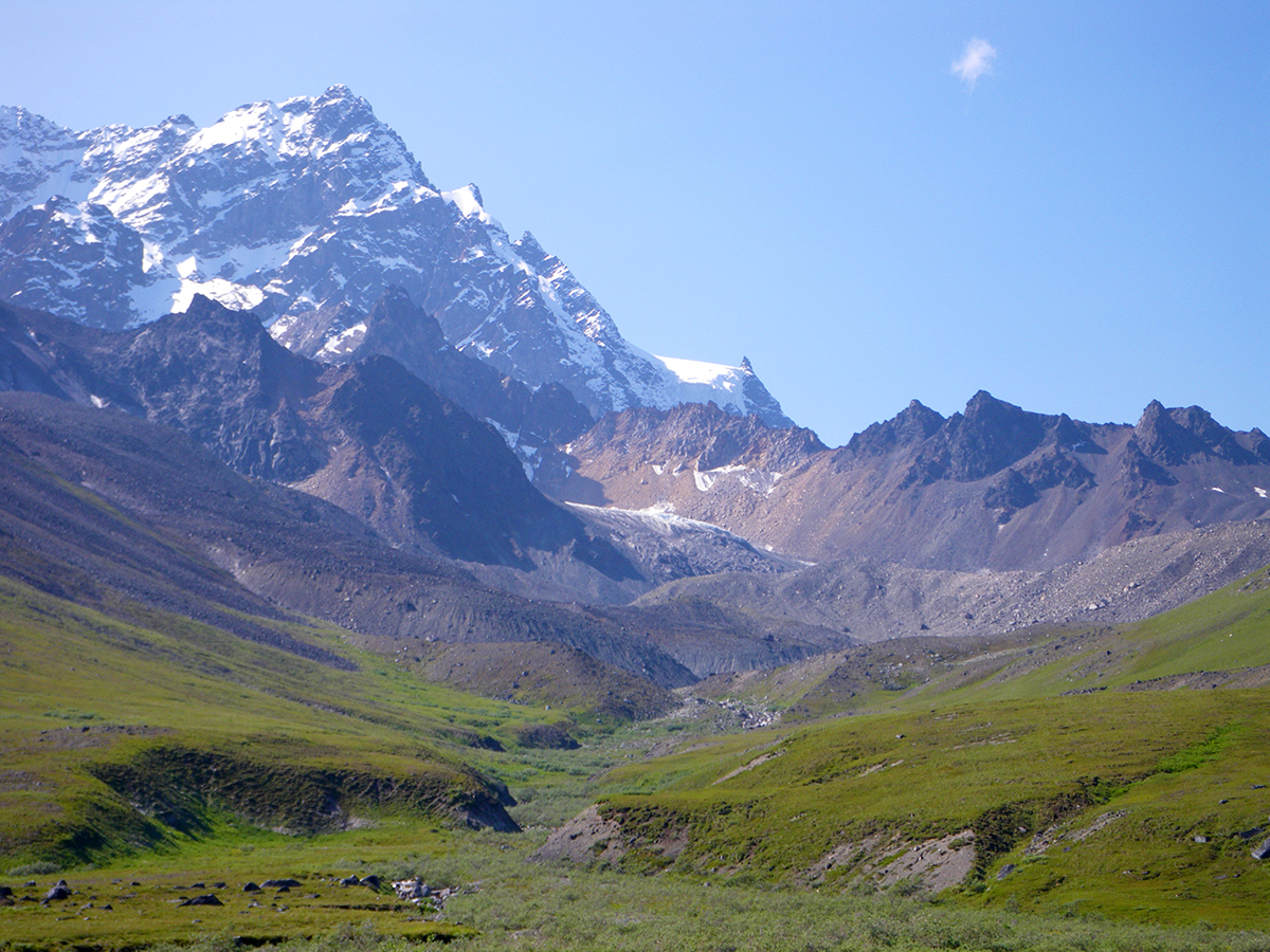 Jagged, rocky mountain peak with patches of snow towering over green tundra.