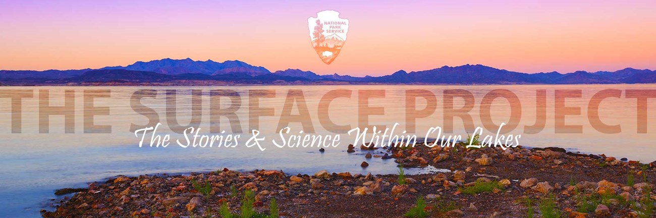 The Surface Project - The Stories and Science Living Within Our Lakes
