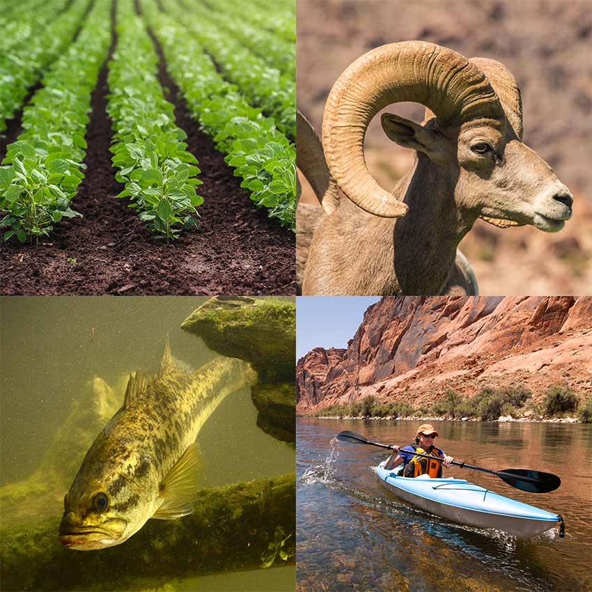 Picture grid of those who rely on water from Lake Mead