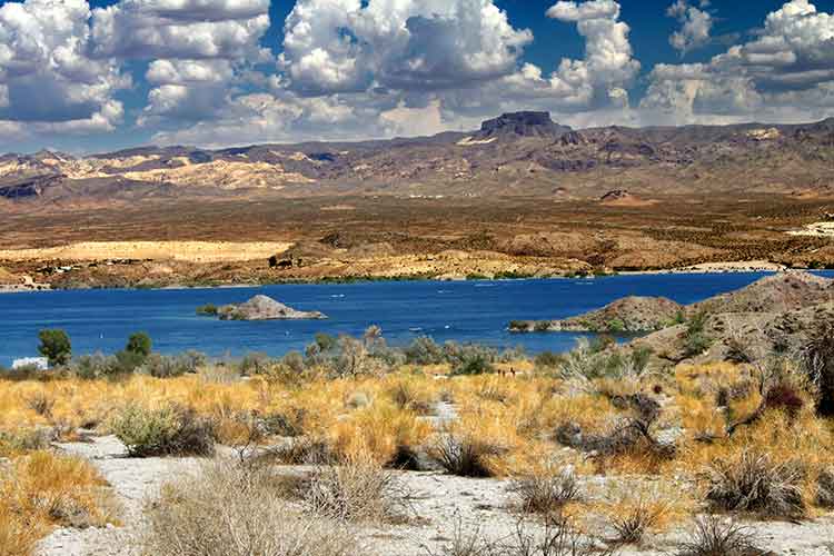 The desert shores of Lake Mohave