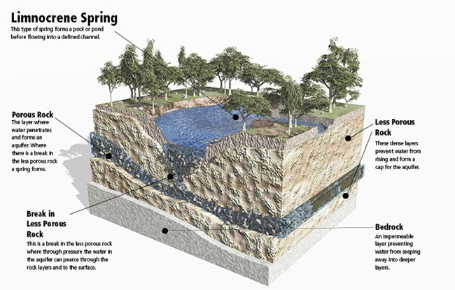 Limnocrene Springs diagram