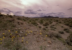 Clouds in a Wilderness Area