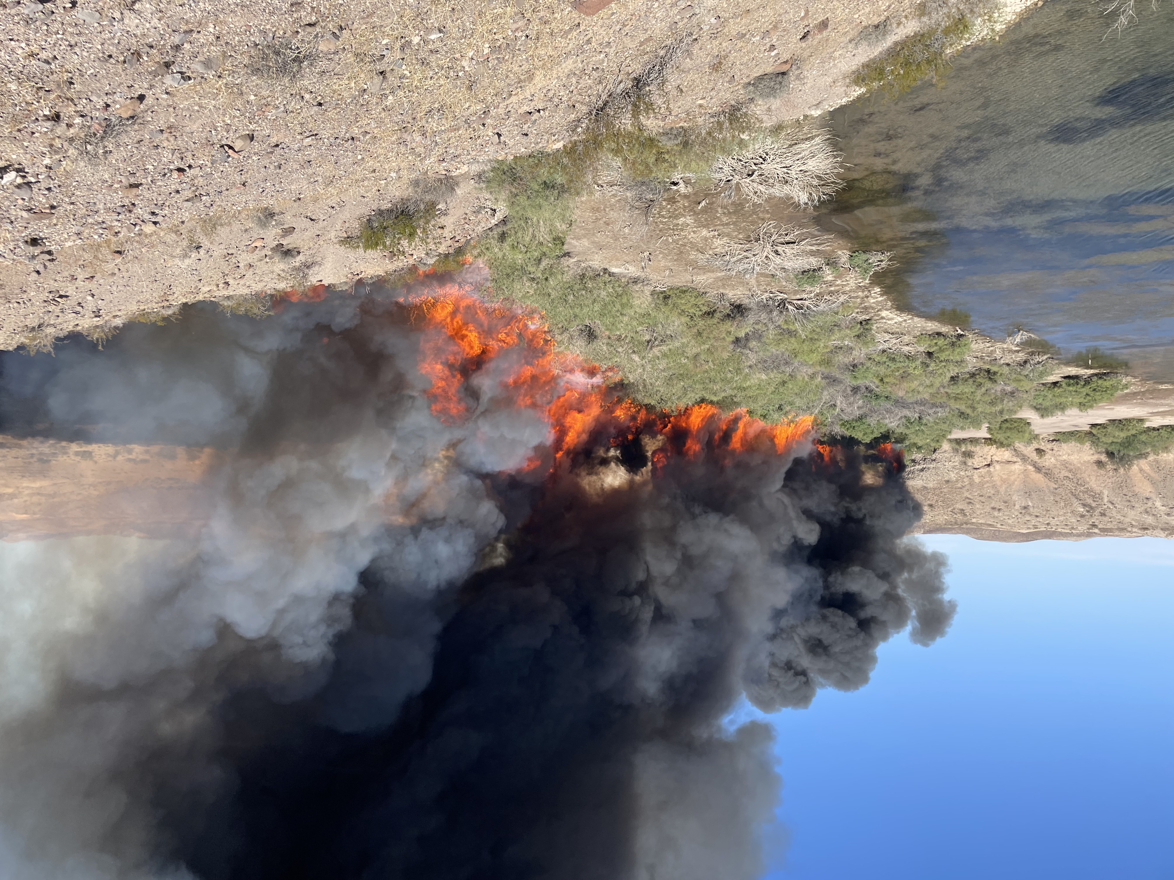 Prescribed fire in bushes.
