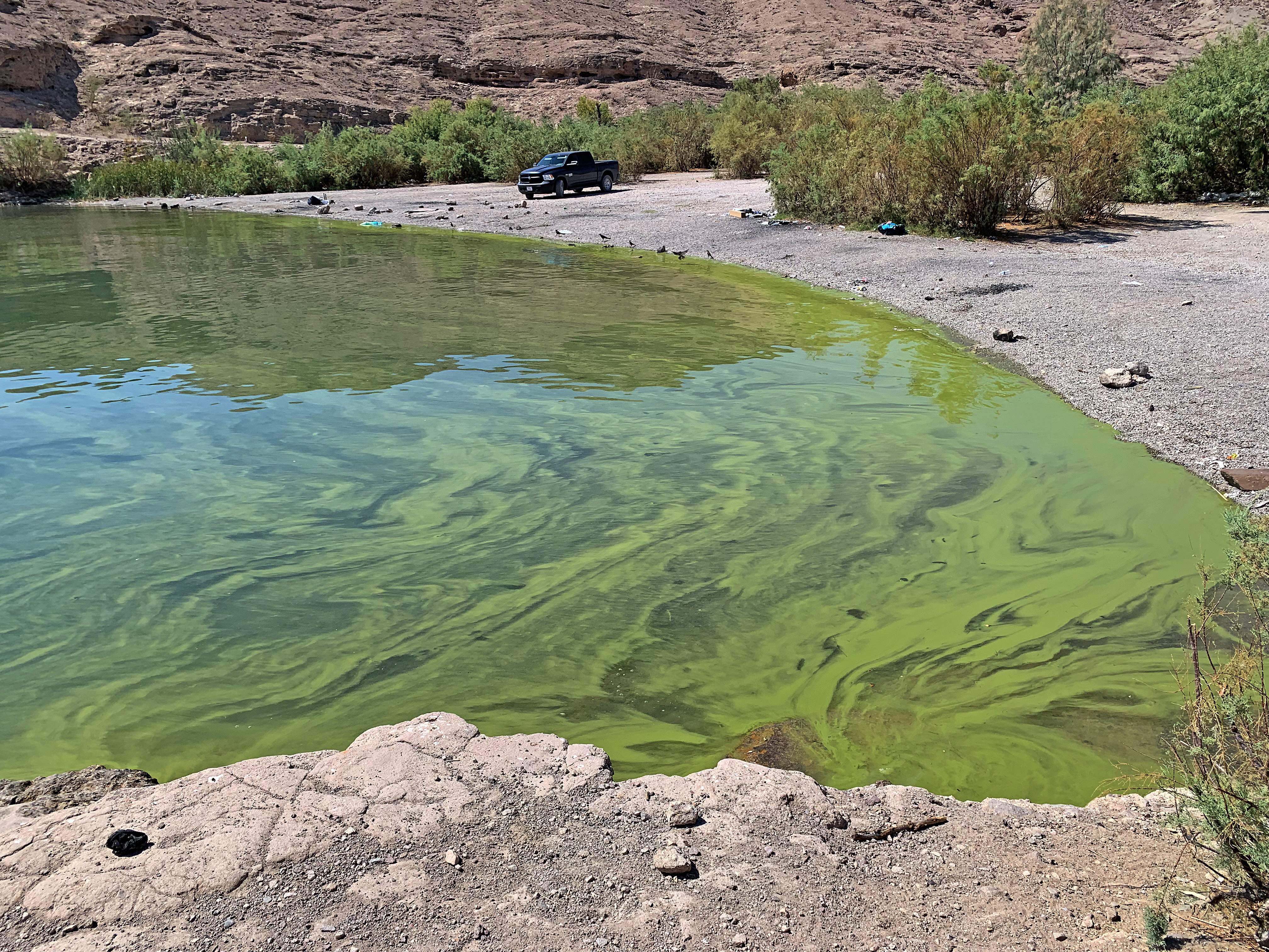 Eagle Wash HAB August 11 2025