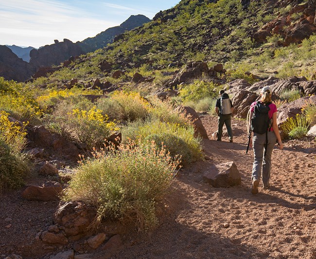 Two hikers walking through desert landscape surrounded by boulders and flowers.