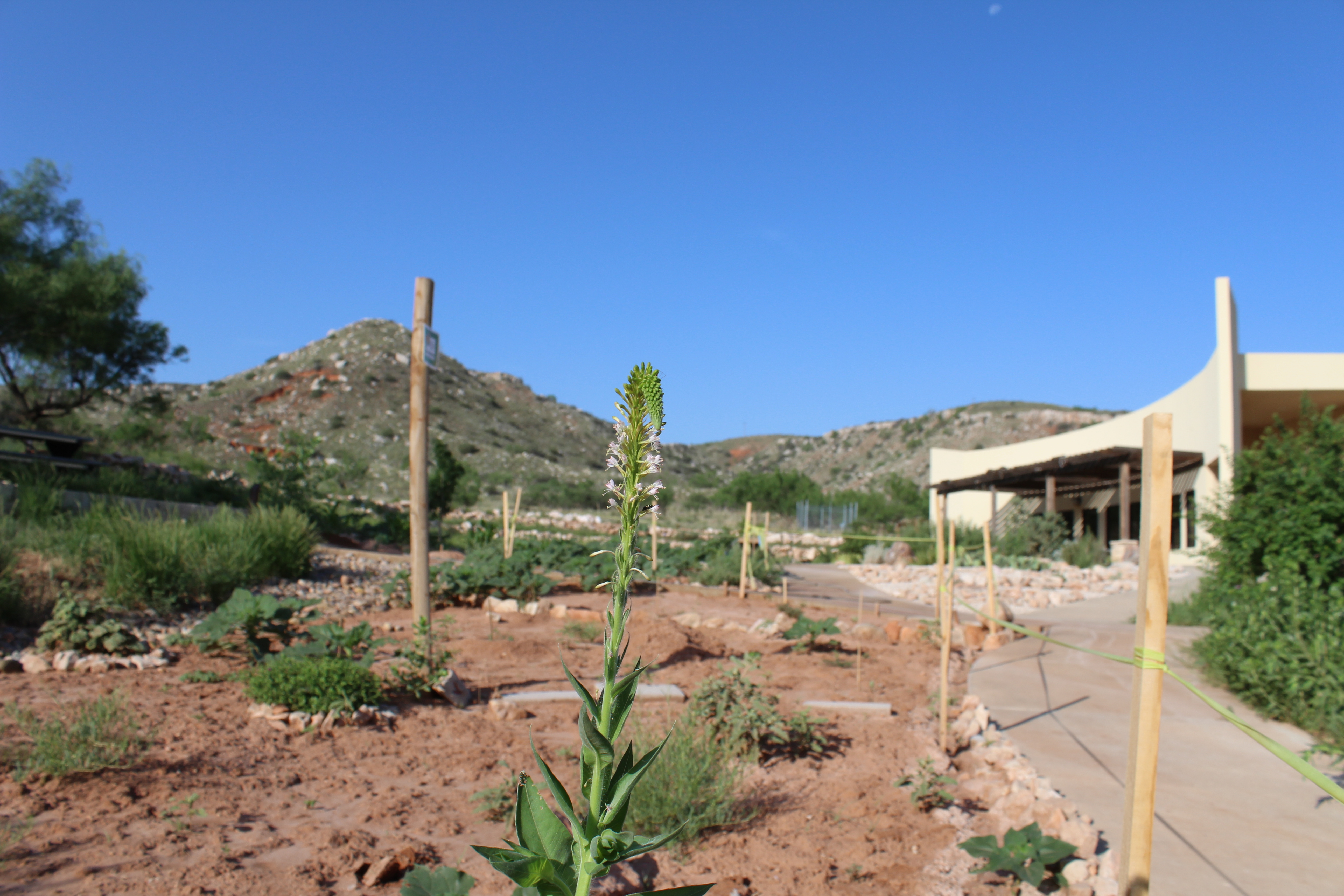 Alibates Visitor Center and Gardens