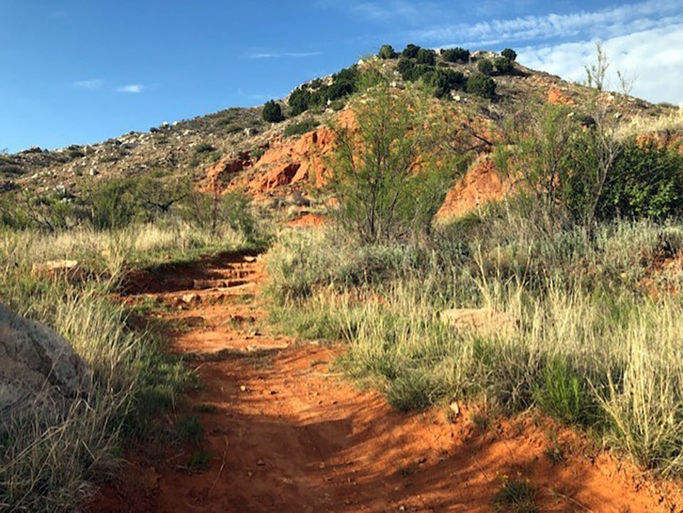 South Turkey Creek Trail Lake Meredith National Recreation Area (U.S