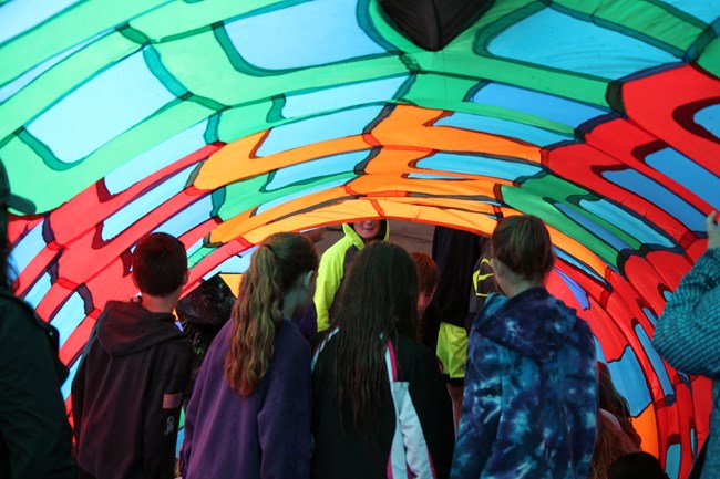 Students travel through an inflatable fish at the Water Festival