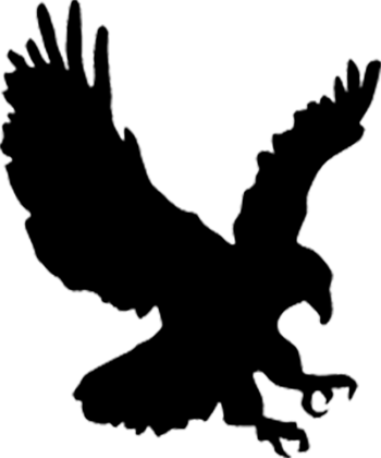 Silhouette of a bird of prey hovering with its talons extended.
