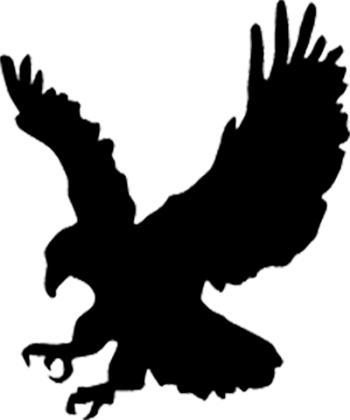 Silhouette of bird of prey flying