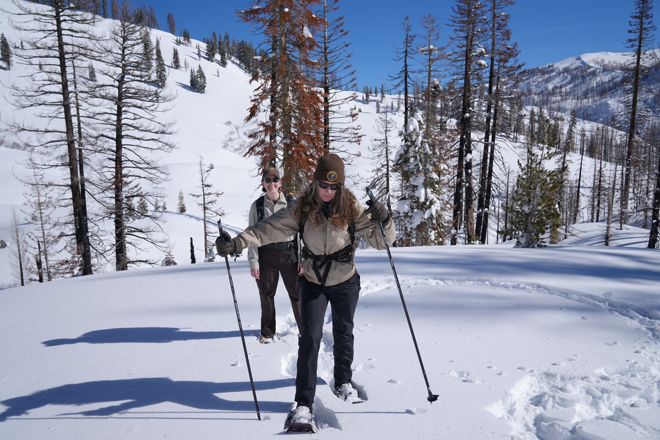 Volunteers break trail for a snowshoe program
