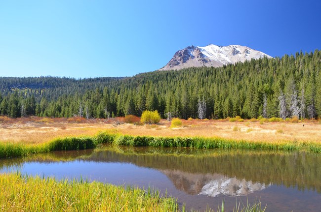 a snow-capped mountain overlooks a large grassy meadow, the mountain's reflection is visible in a creek running through