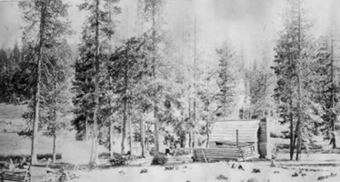 black and white photo of a rustic cabin in the woods