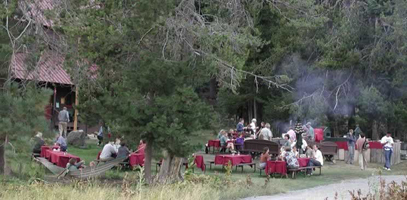 modern photo of guests on picnic tables enjoying BBQ