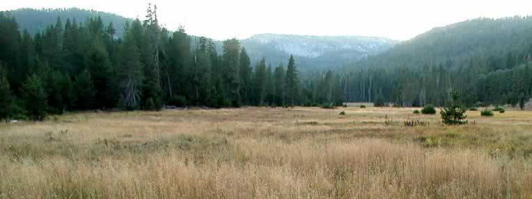 open meadow near Drakesbad with valley rims along both sides