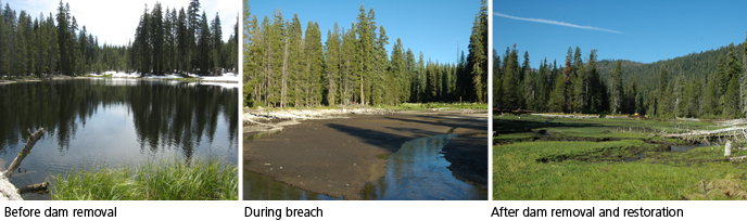 Dream Lake dam removal progression