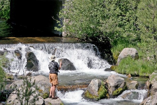 a fisherman standing at the edge of a small waterfall in a large stream